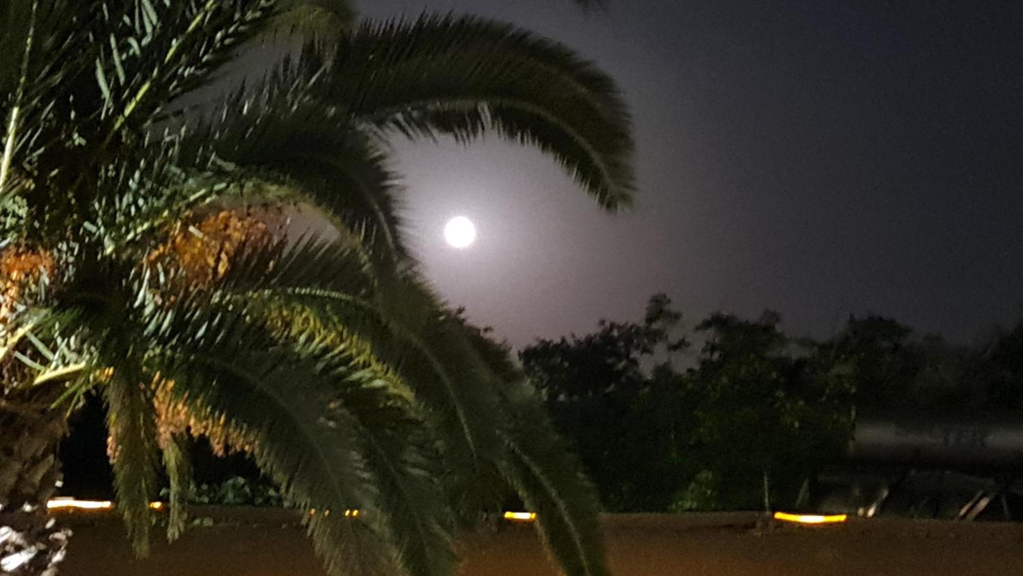 The Palms Novasithonia Apartment Vourvourou Bagian luar foto